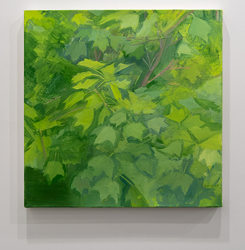 Sylvia Plimack-Mangold / Sylvia Plimack Mangold Summer Maple Detail  2014 61 x 61 cm oil on linen