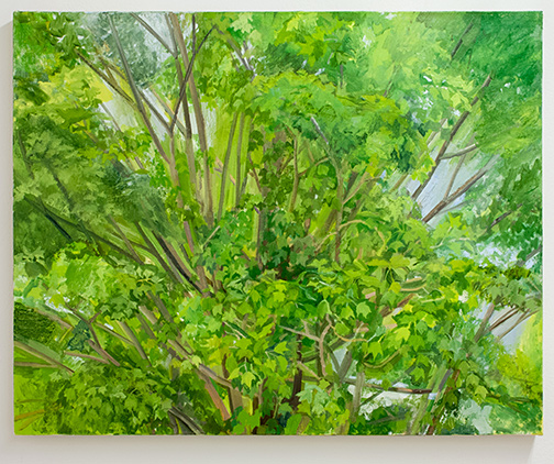 Sylvia Plimack-Mangold / Sylvia Plimack Mangold Maple Tree Detail 2008  2008  62 x 77 cm oil on linen