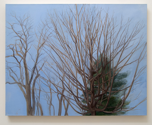 Sylvia Plimack-Mangold / Sylvia Plimack Mangold Winter Maple and Pine  2007  114.3 x 152.4 cm  /  45 x 60 " Oel auf Leinwand