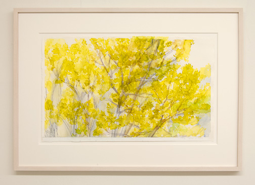 Sylvia Plimack-Mangold / Sylvia Plimack Mangold The Pin Oak 4/10 + 3/13   2010 / 2013   37 x 60 cm graphite and watercolor on paper