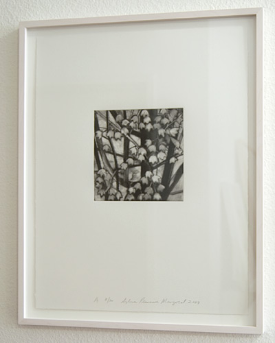 Sylvia Plimack-Mangold / Sylvia Plimack-Mangold Maple Tree Detail A  2009 46 x 35.5 cm mezzotint and drypoint on paper Edition 8/30