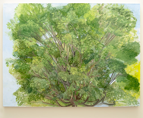 Sylvia Plimack-Mangold / Sylvia Plimack Mangold The Maple Tree, Summer 2007  2007 114.3 x 152.4 cm oil on linen