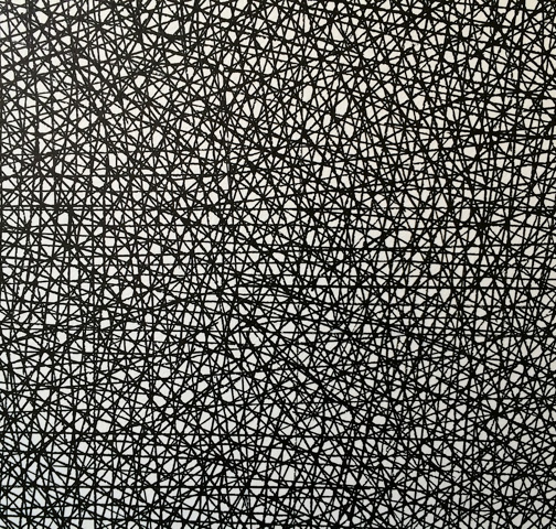 Sol LeWitt / 10’000 straight and 10’000 not straight lines within a four-meter circle  2005  black marker (detail) Drawn by Nicolai Angelov