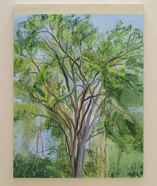Sylvia Plimack-Mangold / Sylvia Plimack Mangold The Elm Tree  1990  203.2 x 152.4 cm oil on linen