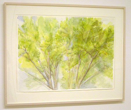Sylvia Plimack-Mangold / The Pin Oak September 2004  2004 56 x 76.2 cm / 22 x 30 " watercolor and pencil on paper