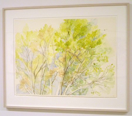 Sylvia Plimack-Mangold / The Pin Oak 10/18/03   2003 56.5 x 75.5 cm / 22.25 x 29.75 " watercolor and pencil on paper