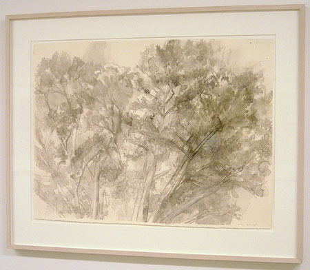 Sylvia Plimack-Mangold / The Pin Oak 8/8/05   2005 55.9 x 75.6 cm / 22 x 29.75 " watercolor and pencil on paper