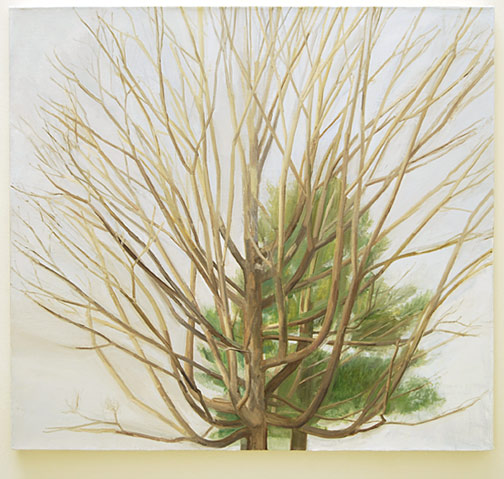 Sylvia Plimack-Mangold / The Maple Tree with Pine  2006 91.4 x 101.6 x 4.5 cm / 36 x 40 " oil on linen